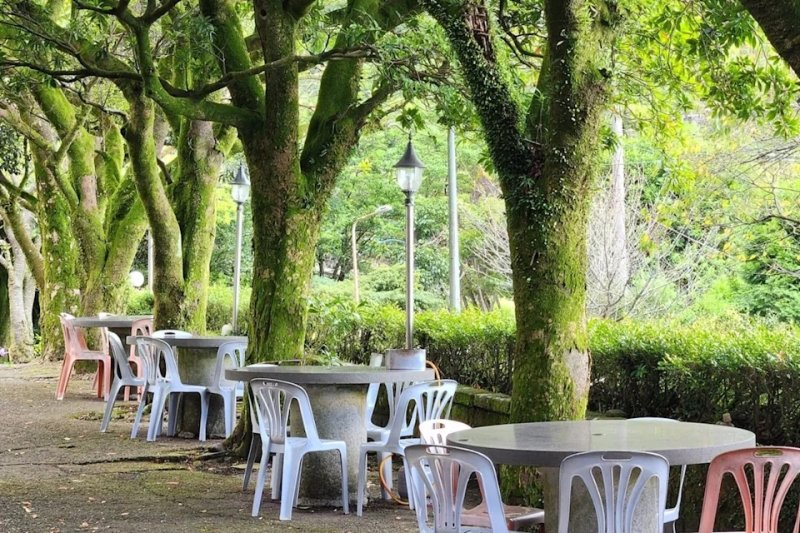 陽明山竹子湖美食推薦 陽明山賞花必訪景觀餐廳季節限定花景