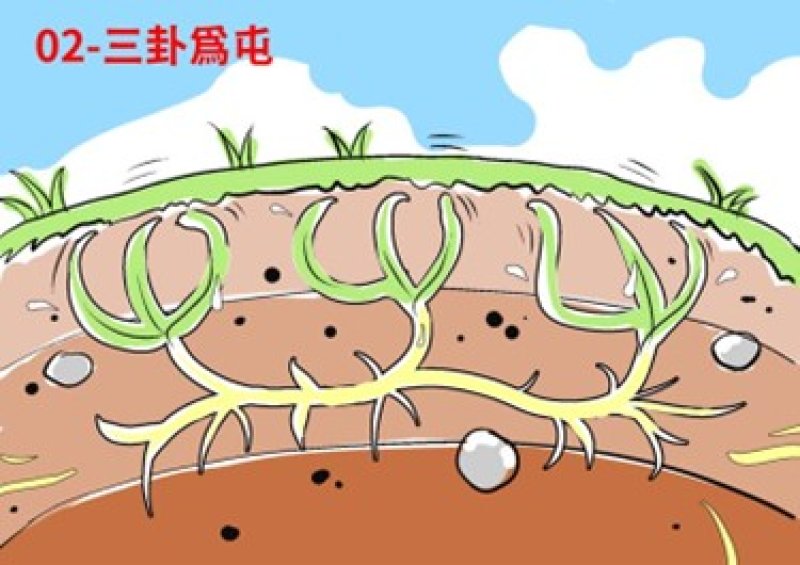 【薄教授命理週記】干支計算法