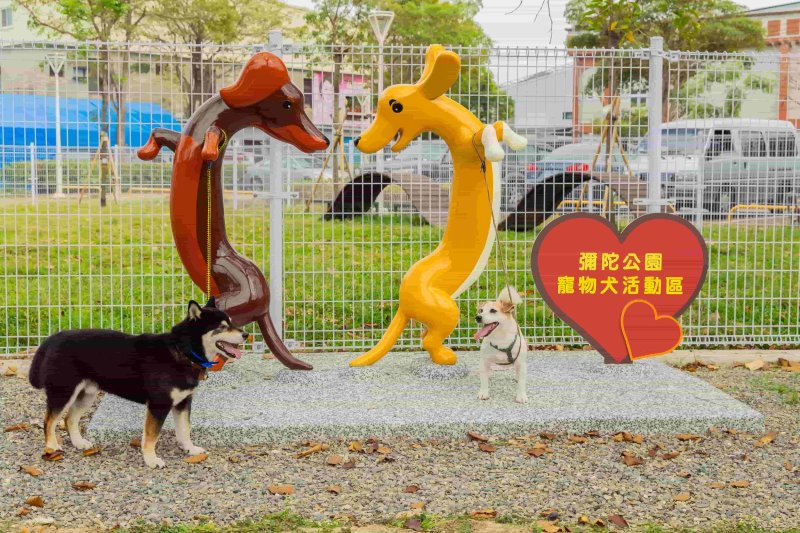 毛家長福音！高雄寵物公園最新名單請收下