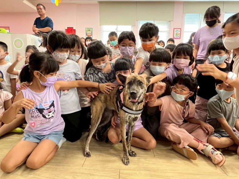 屏縣府推動保生命教育　陪伴犬貓走入校園