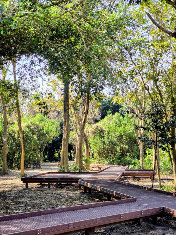 萬丹森林公園週日啟用　邀請全民有氧健走共享都市綠肺