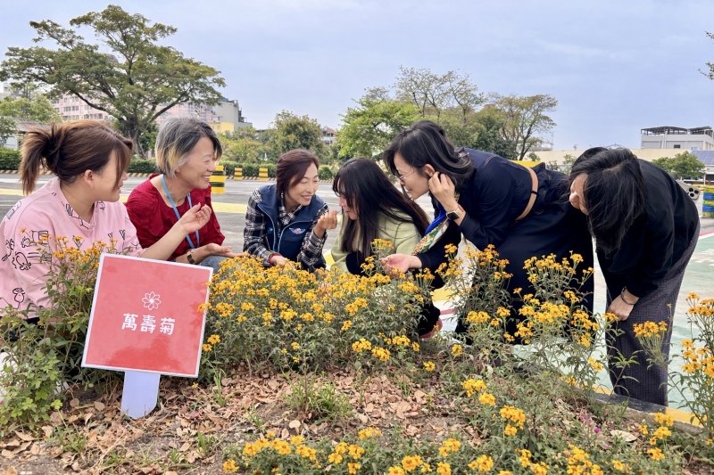 還記得那株小苗嗎?」 植樹節前夕高雄區監理所邀民眾一同見證花開時刻 還記得那株小苗嗎?」 植樹節前夕高雄區監理所邀民眾一同見證花開時刻