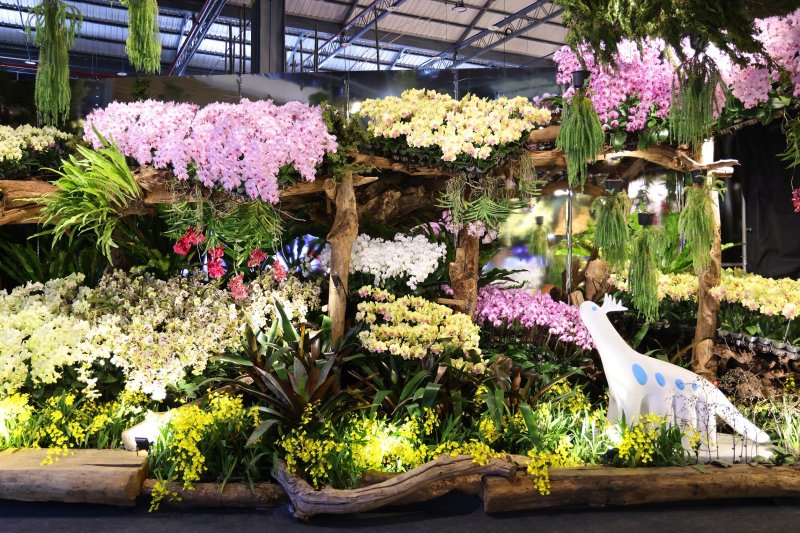 從日本紅回臺灣！超萌神獸降臨2026臺灣國際蘭展蘭獸商店掀起收藏熱潮