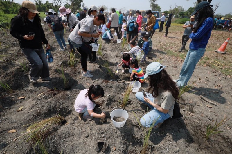 響應國際森林日　屏東推濕地復育打造草鴞友善棲地