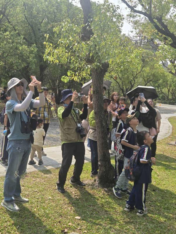 高雄市小學生公民科學賞鳥比賽45種鳥類現身展現豐富生態