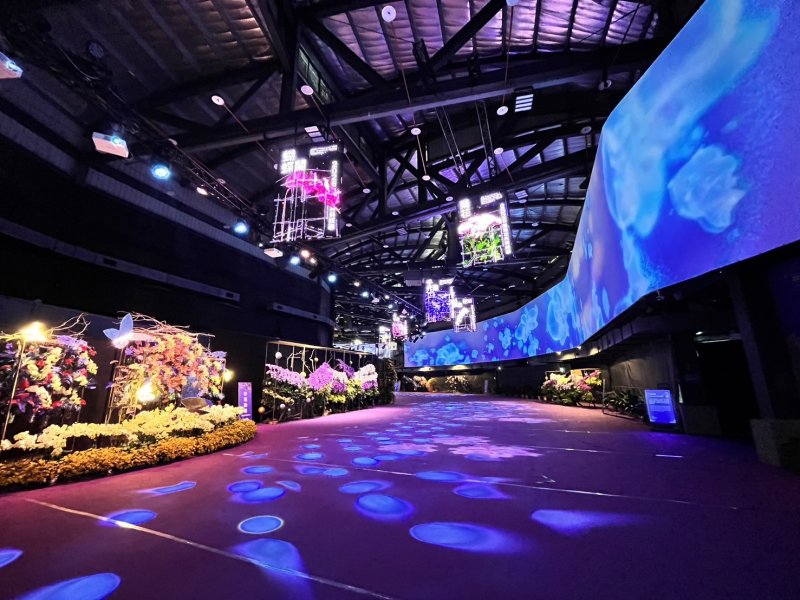 臺南2026花卉科技展百花爭艷隨人群於65公尺巨幕綻放吸睛