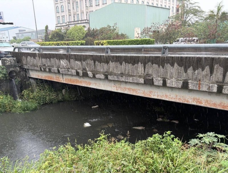 永康區排水渠道大量魚隻死亡 水利局迅速打撈環保局將調查