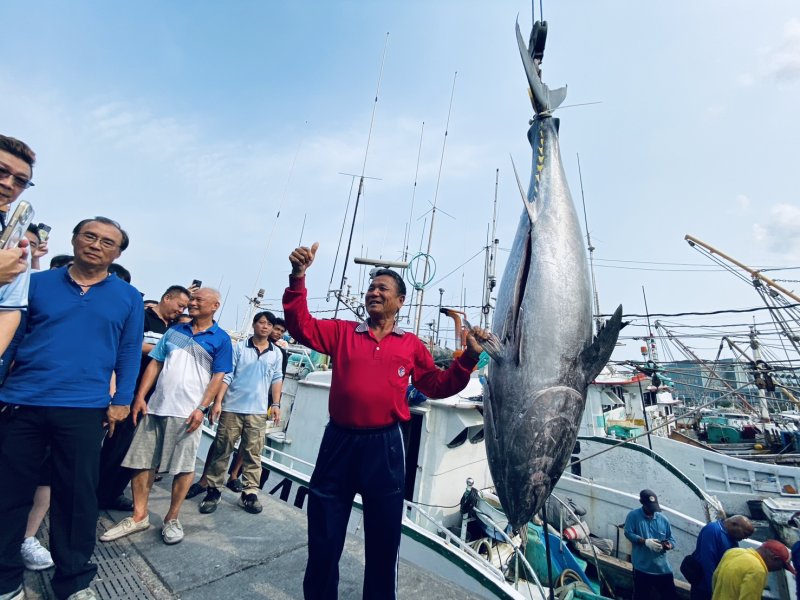 2026屏東黑鮪魚季第一鮪今返港驗明正身8日拍賣