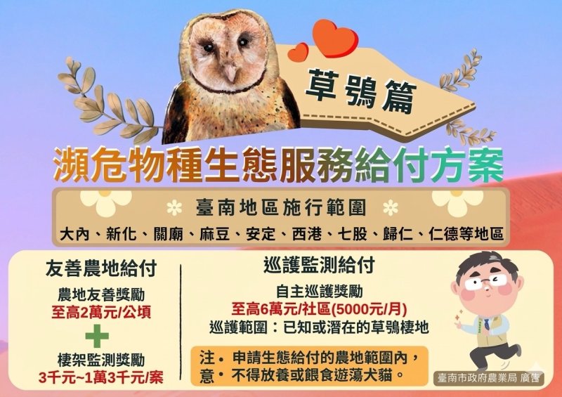 臺南推動草鴞生態巡狩給付 延續黑面琵鷺與水雉保育打造棲地共榮