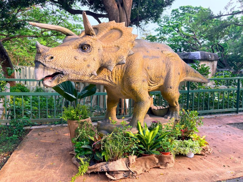 恐龍魅力 壽山動物園推時光探險任務與壽Q家族動物明星人氣票選