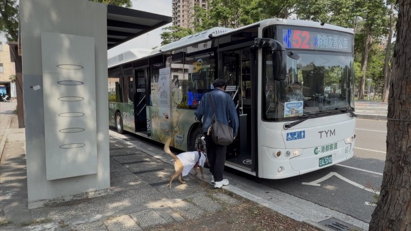狗狗也想出門放風！高雄推「狗狗友善公車」　不用裝籠就能一起搭車曬太陽