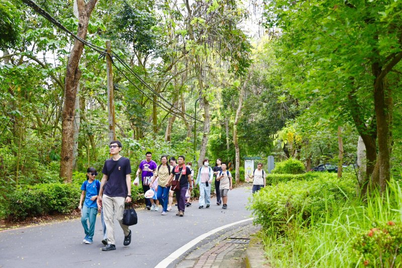 漫步虎頭埤黃金花雨　台南邀全民漫步花海感受當地初夏魅力