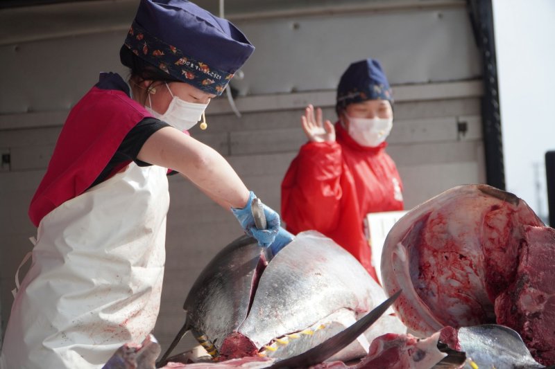 屏東黑鮪魚文化躍國際6月亞洲沙灘排球賽邀日本「Fish Girl」演示黑鮪魚解體秀
