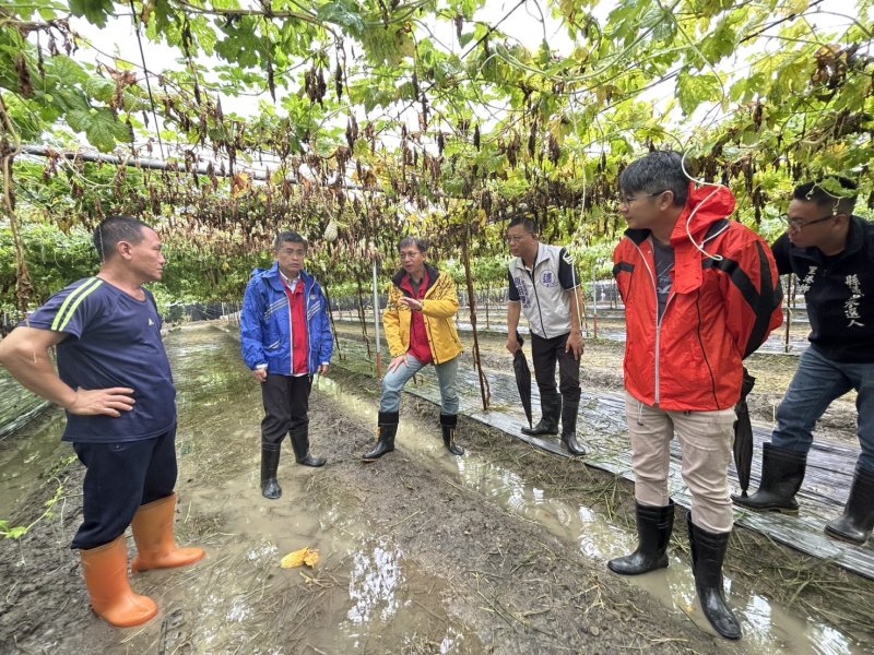 6月豪雨連連造成屏東農損 縣府爭取農業部天然災害救助全品項免勘