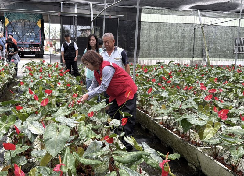 豪雨重創屏東農漁業不讓農漁民孤軍奮戰 縣府加速災後復原  