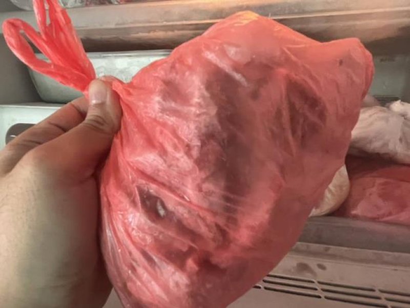 台南安南區疑似宰殺犬隻案 動保處：現場犬隻經X光檢查均無骨折　