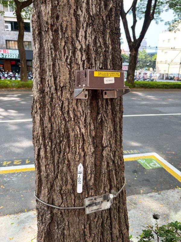 有智慧的樹  提前防範倒樹風險  高雄建置380處行道樹智慧監測點 