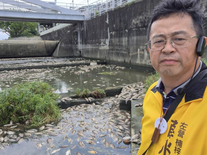後勁溪再現死魚潮　薛兆基促建AI水質監測：別再等魚死了才處理