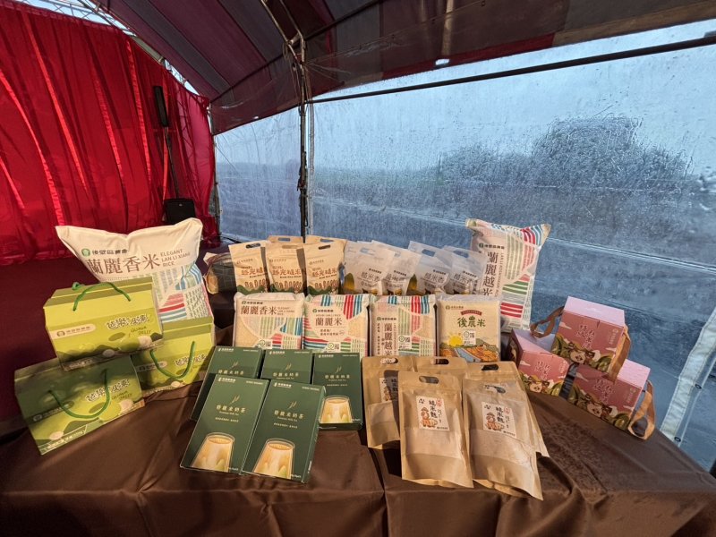 臺南好米季「菜奇鴨稻陣」登場　黃偉哲邀國慶走讀稻田美景