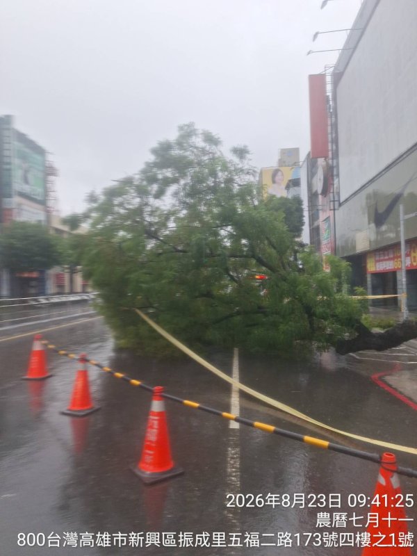 五福二路路樹倒伏　高市公園處火速搶修1小時恢復交通