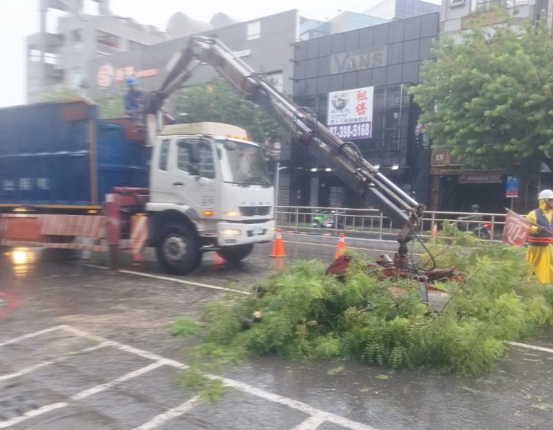 五福二路路樹倒伏 高市府公園處1小時內迅速排除恢復交通