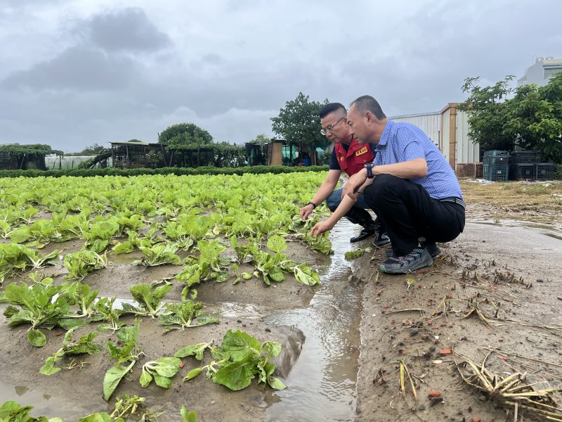 豪雨造成農損，高市農業局提醒受災農友儘速通報，全力爭取「全品項」救助