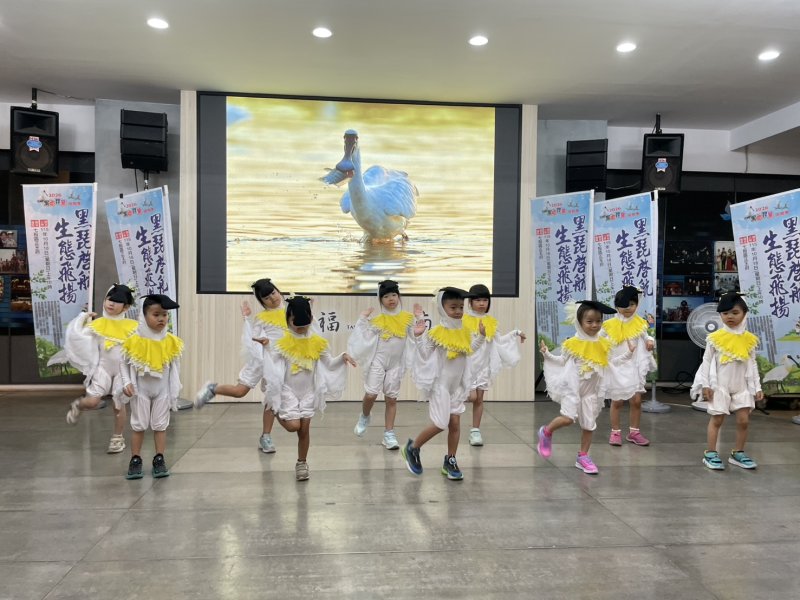 冬日嬌客報到！台南黑面琵鷺保育季18日登場　邀民眾共守生態