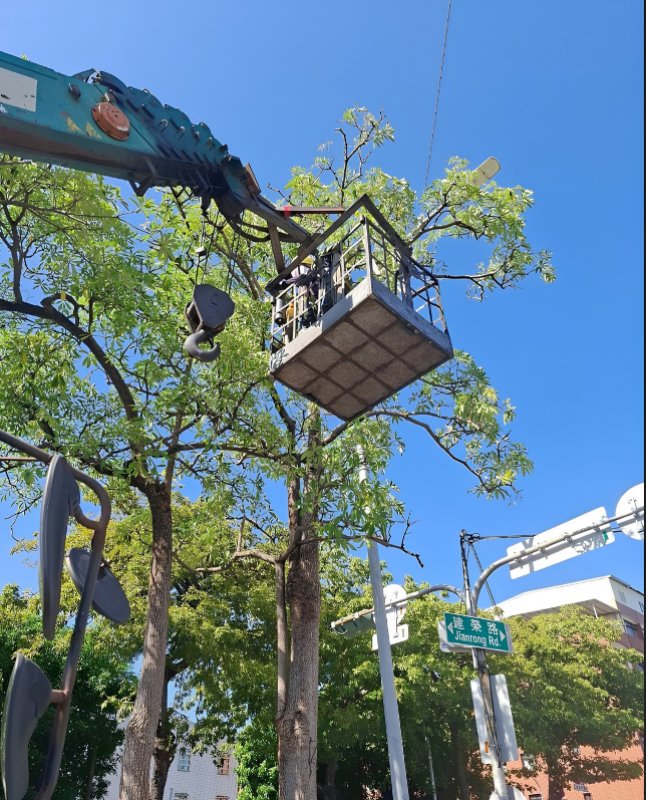 因應薔琵颱風來襲　高市公園處超前部署　強化公園防災措施