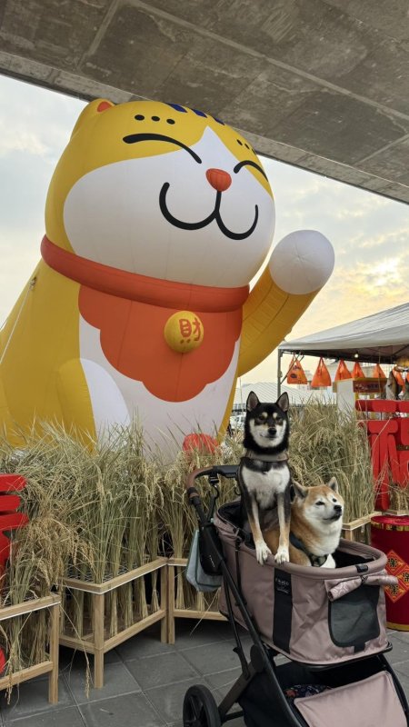 NEKO MARKE市集活動廷續寵物主題