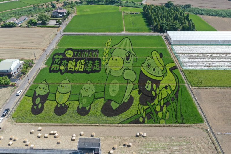 今年更以「菜奇鴨」為彩繪稻田主題,展現跨局處合作創意成果 今年更以「菜奇鴨」為彩繪稻田主題,展現跨局處合作創意成果