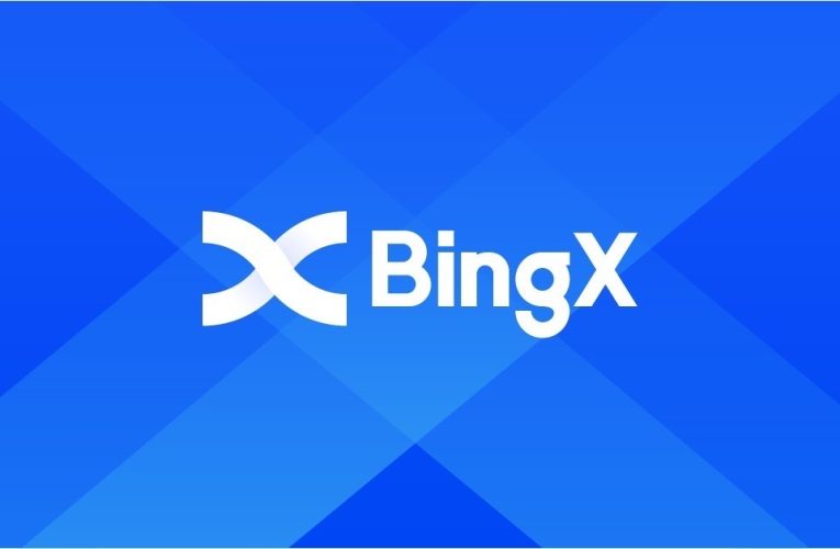BingX將與波波錢包攜手合作，舉辦桃園永豐雲豹籃球「元宇宙樂園主題日」