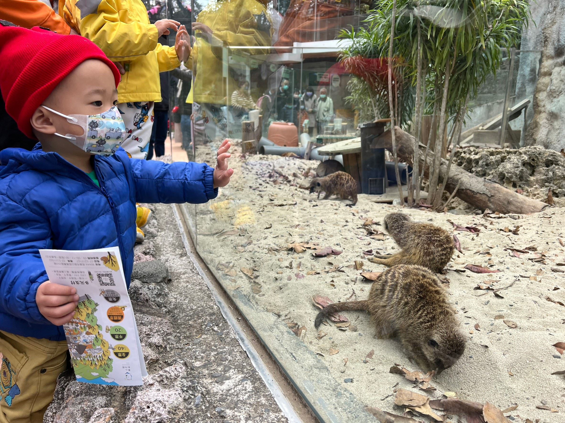 壽山動物園 兒童節五天連假期預估人數爆園  今天宣布每日加賣現場票1000張