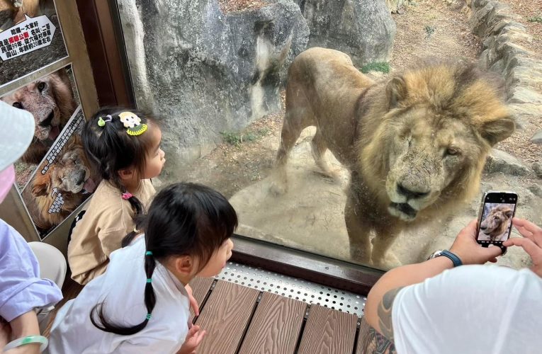壽山動物園  強調兼具動物保育與生命教育   REOPEN四個月突破50萬人次