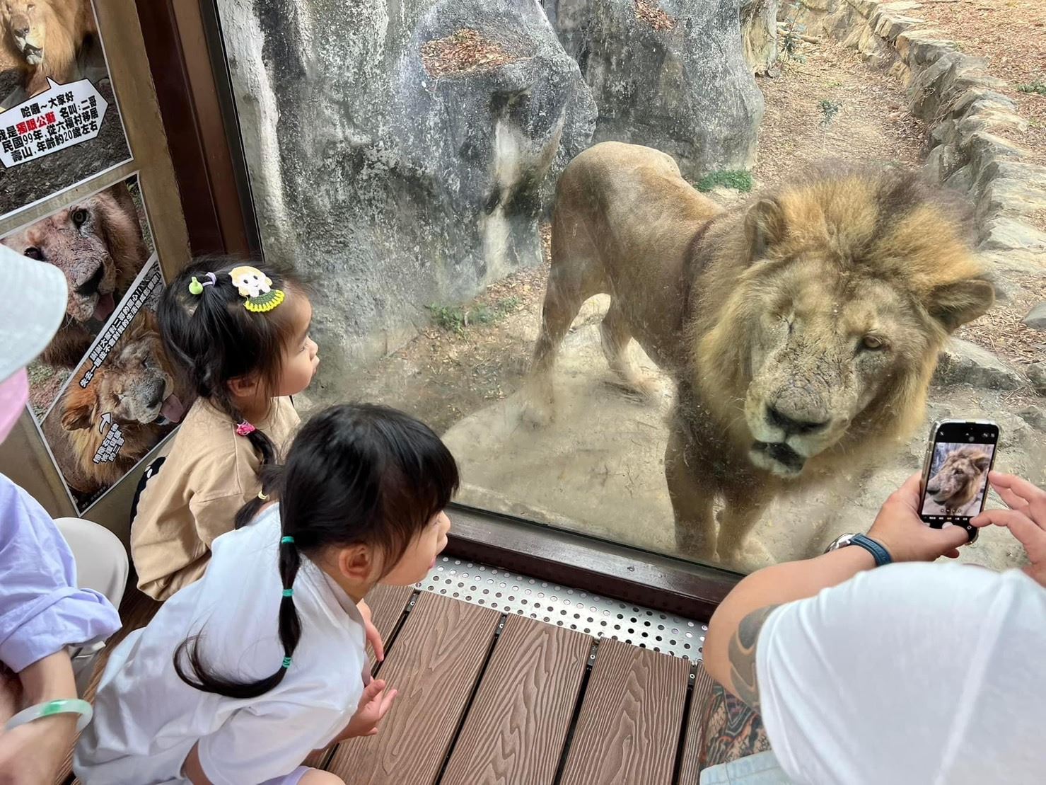 壽山動物園  強調兼具動物保育與生命教育   REOPEN四個月突破50萬人次
