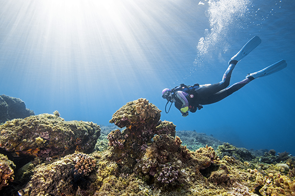 海管處6月份尊重海洋生態看見永續旅遊價值  系列講座即日起開放報名