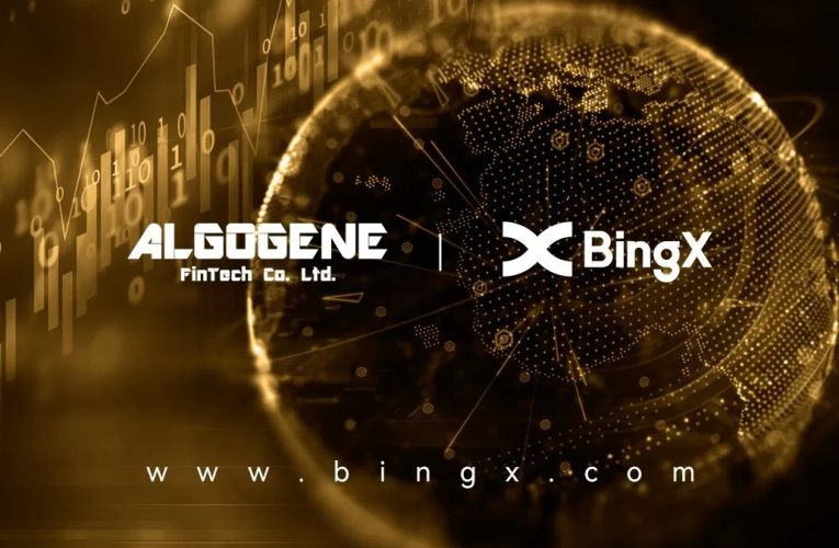 BingX整合ALGOGENE 提升平台算法交易能力