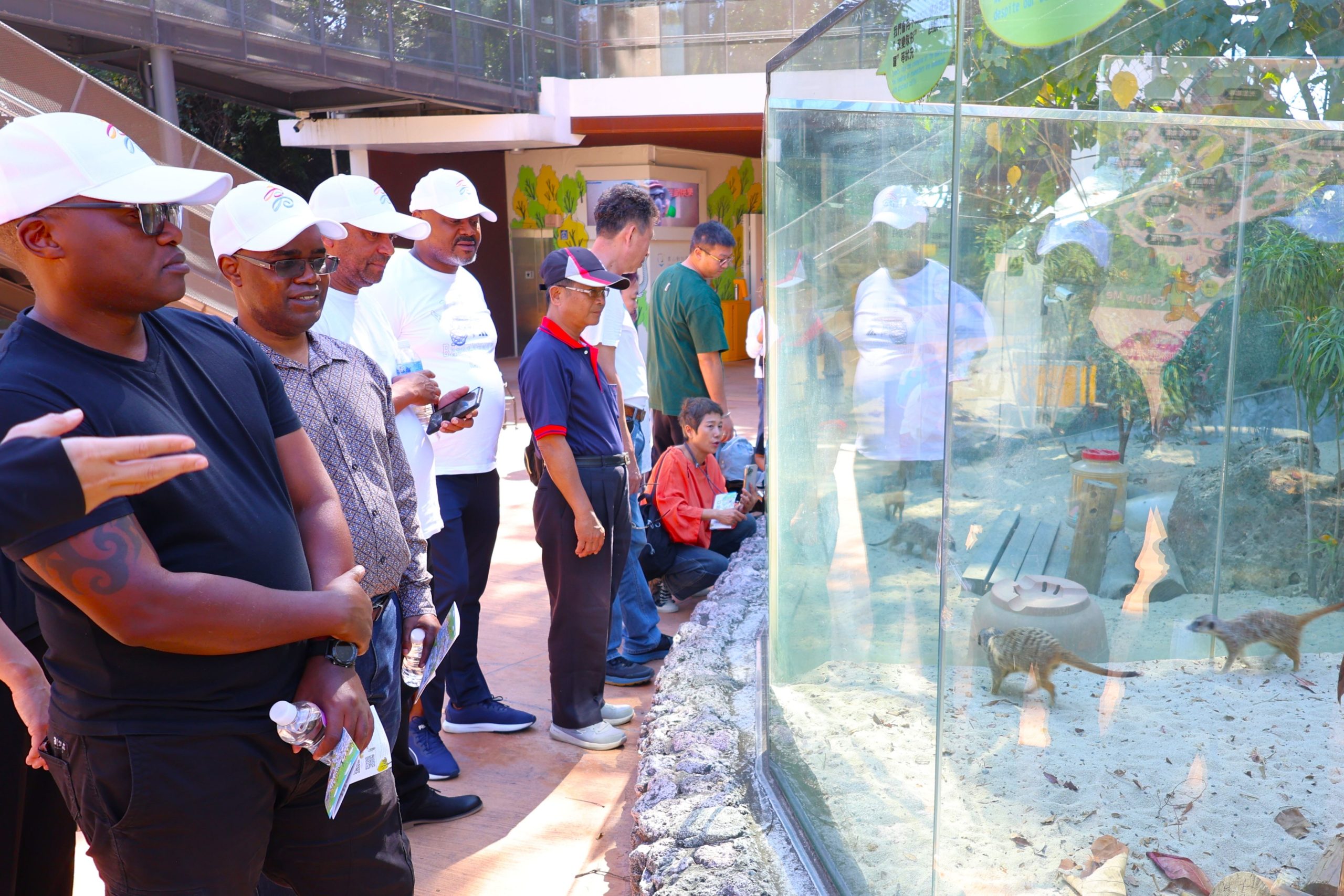 姆巴巴內市長首訪高拜會陳其邁 雙方啟動教育合作 參觀壽山動物園 盼發展動物保育合作